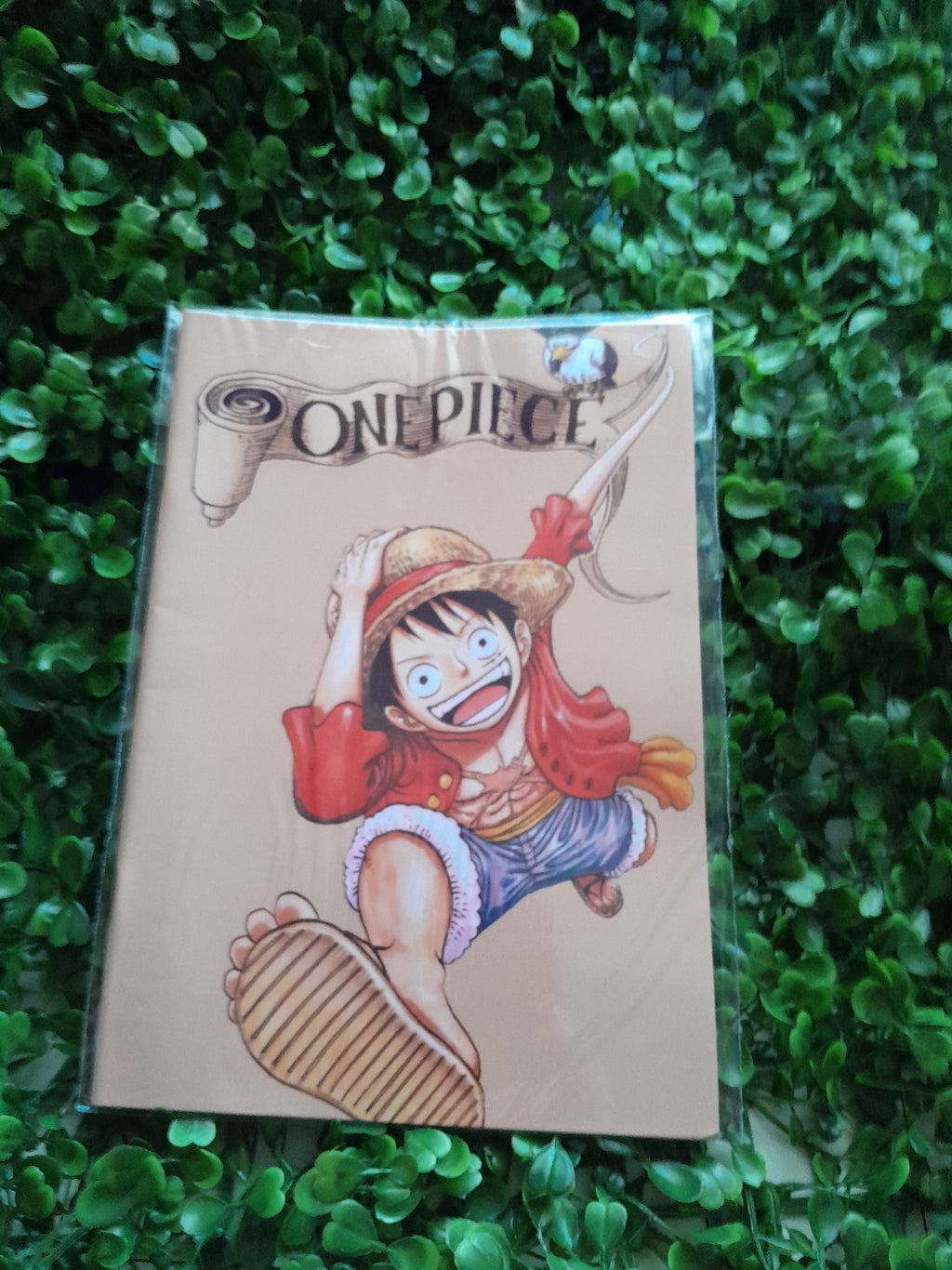 Libro para Colorear