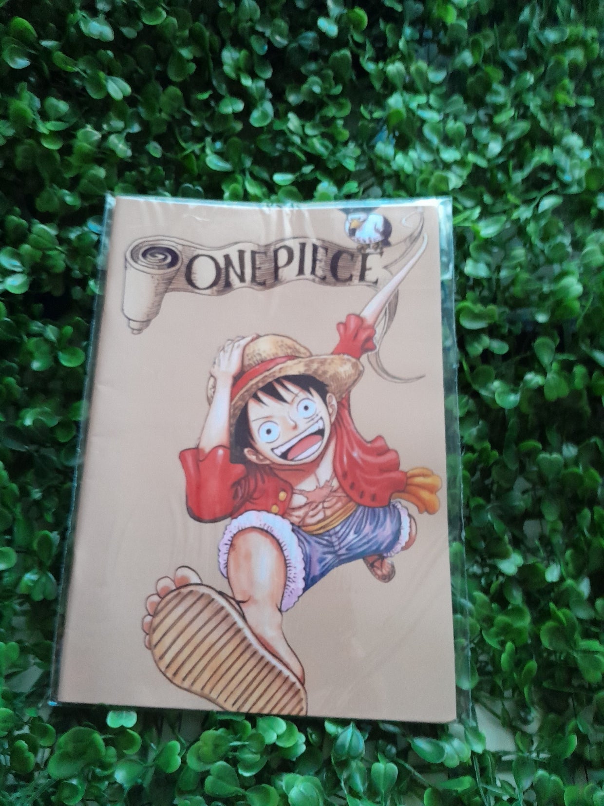 Libro para Colorear