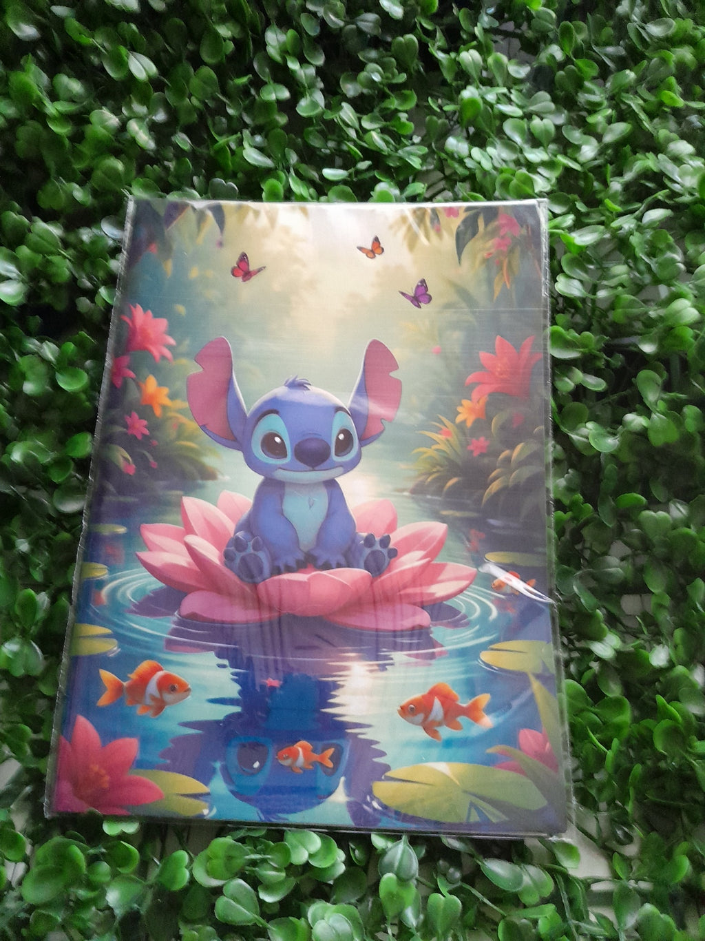 Libro para Colorear