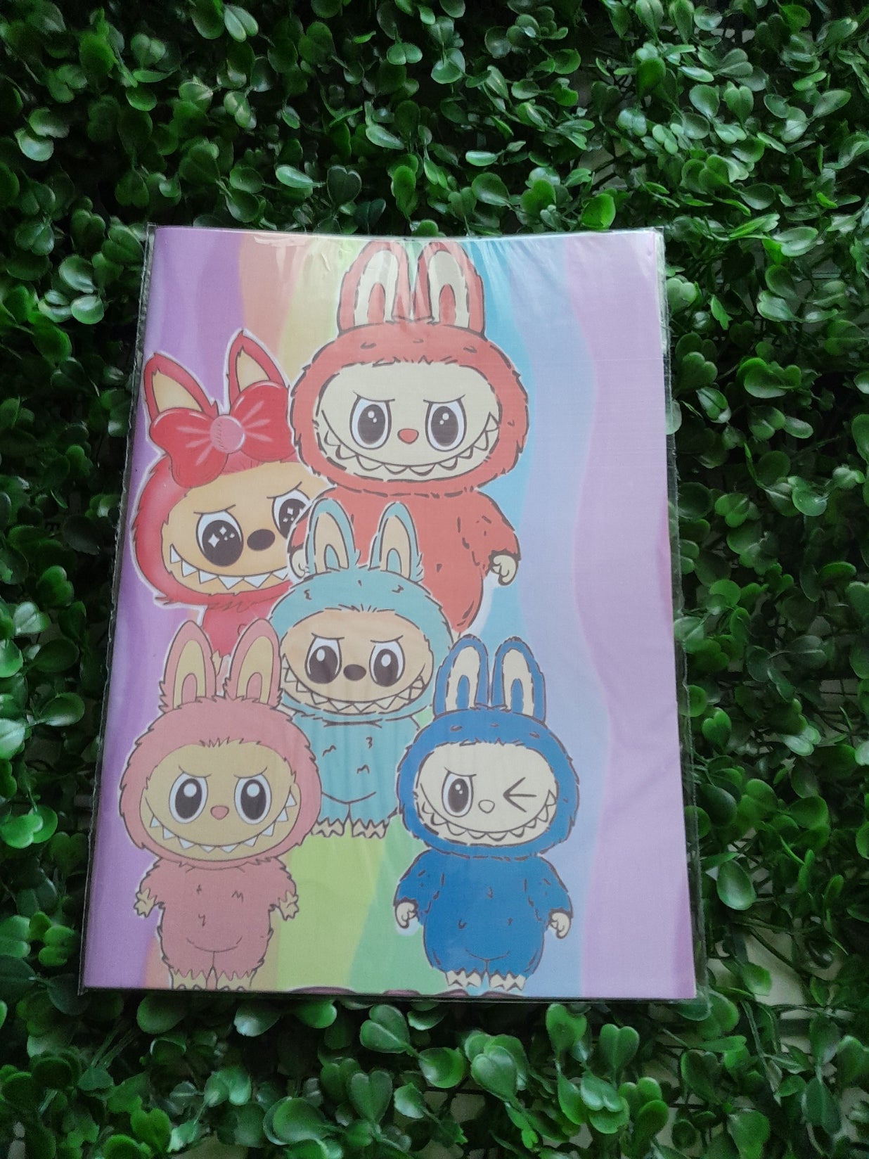 Libro para Colorear