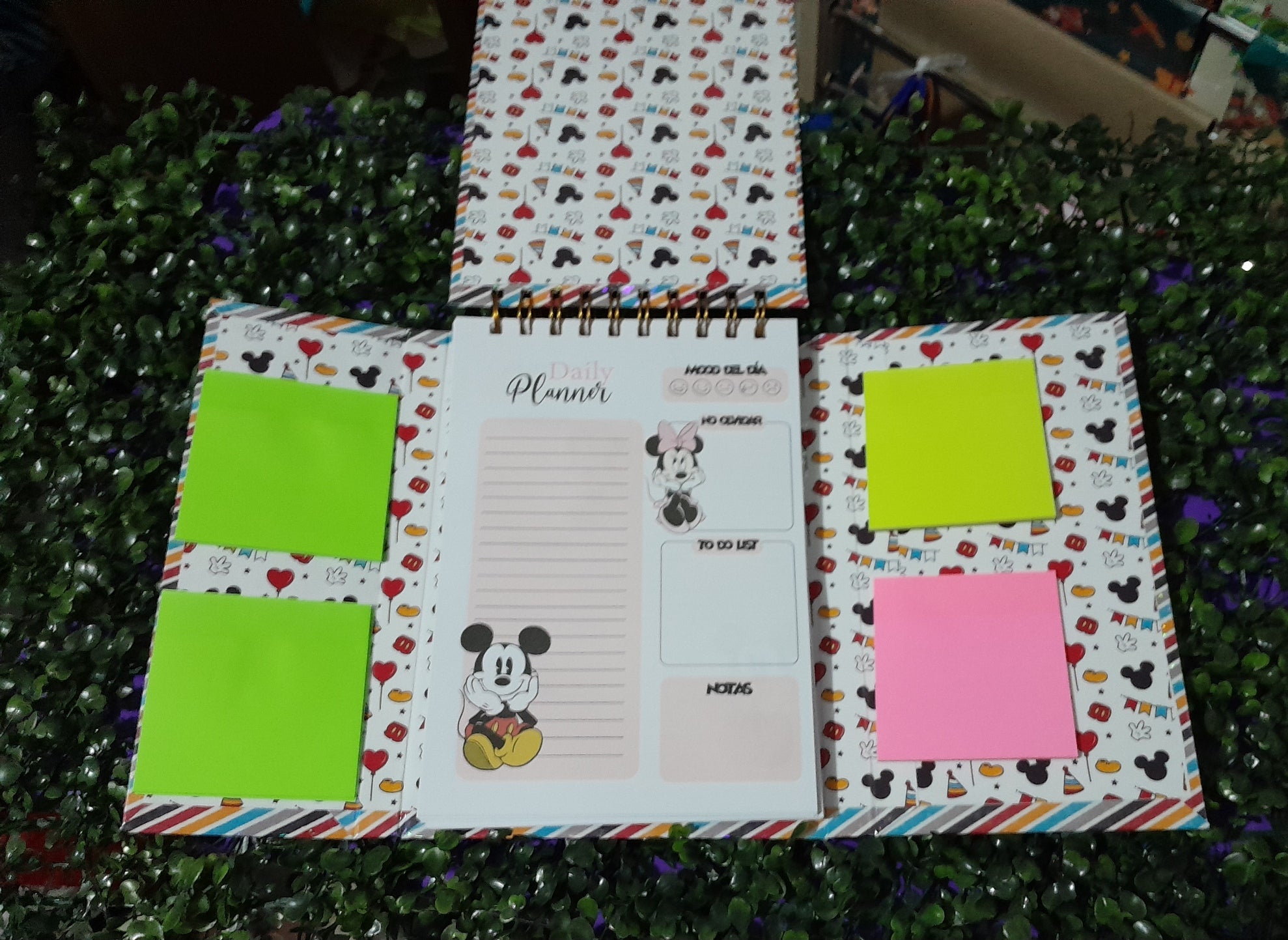 Agenda minnie